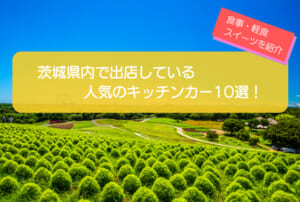 茨城県で人気のキッチンカー9選！食事・軽食・スイーツと幅広く紹介
