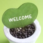 Message from the Food Track Company