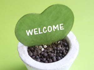 Message from the Food Track Company