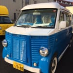 青と白のツートンカラーのフレンチフェイスです。