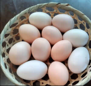 東京都町田市「うこっこファーム 田中屋」様