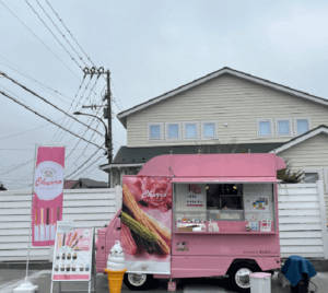 神奈川県横浜市の「Chameleon Babies」様のキッチンカーを製作させていただきました。