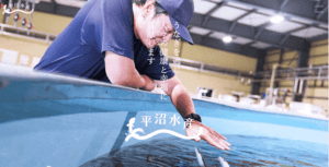 平沼水産様にフードトラックカンパニーをご紹介いただきました